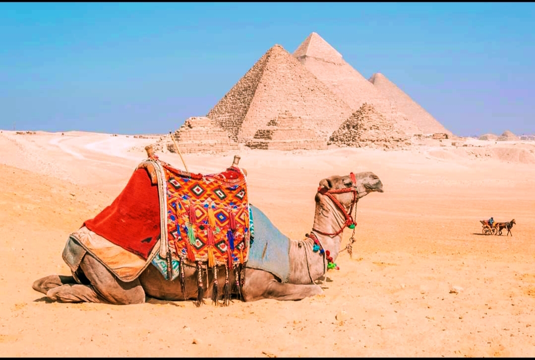 Sunrise/Sunset Camel Ride Around The Pyramids 