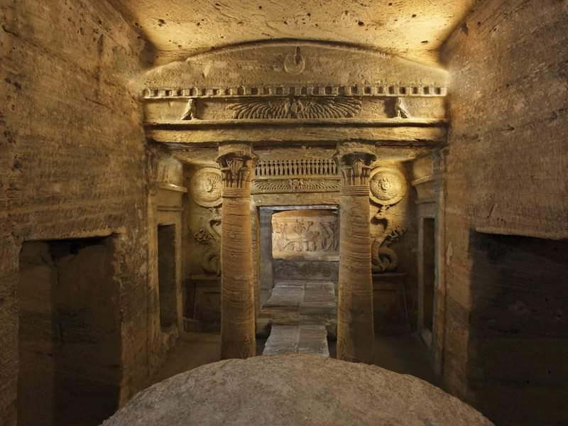 ( Catacombs , Pompy Pillars, Qaitbey Citadel and library of Alexandria )