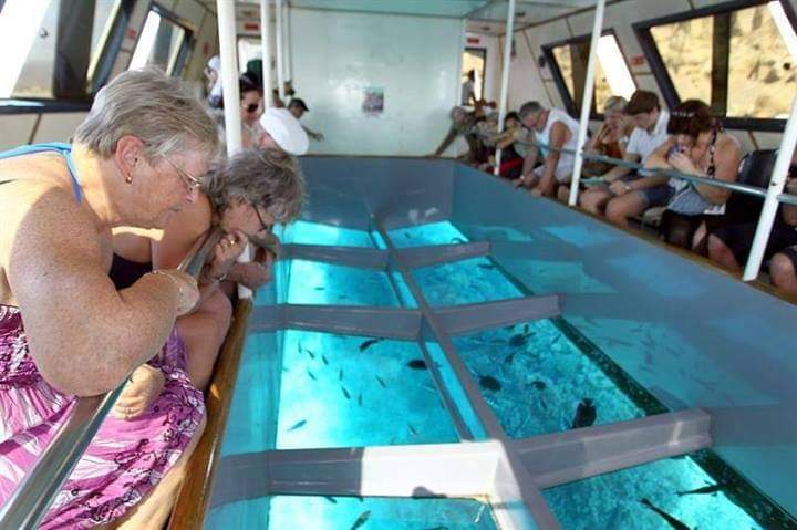Glass Bottom Boat Trip in Sharm el Sheikh