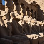 Gallery Thumbnail 12