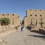 Gallery Thumbnail 11