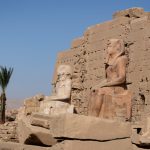 Gallery Thumbnail 13