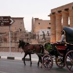 Gallery Thumbnail 23