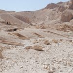 Gallery Thumbnail 18