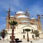 Gallery Thumbnail 16