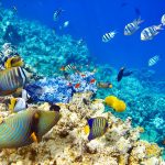 Gallery Thumbnail 34