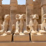 Gallery Thumbnail 17