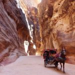 Gallery Thumbnail 38