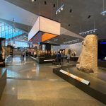 Gallery Thumbnail 10