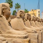 Gallery Thumbnail 12