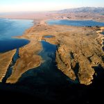 Gallery Thumbnail 36