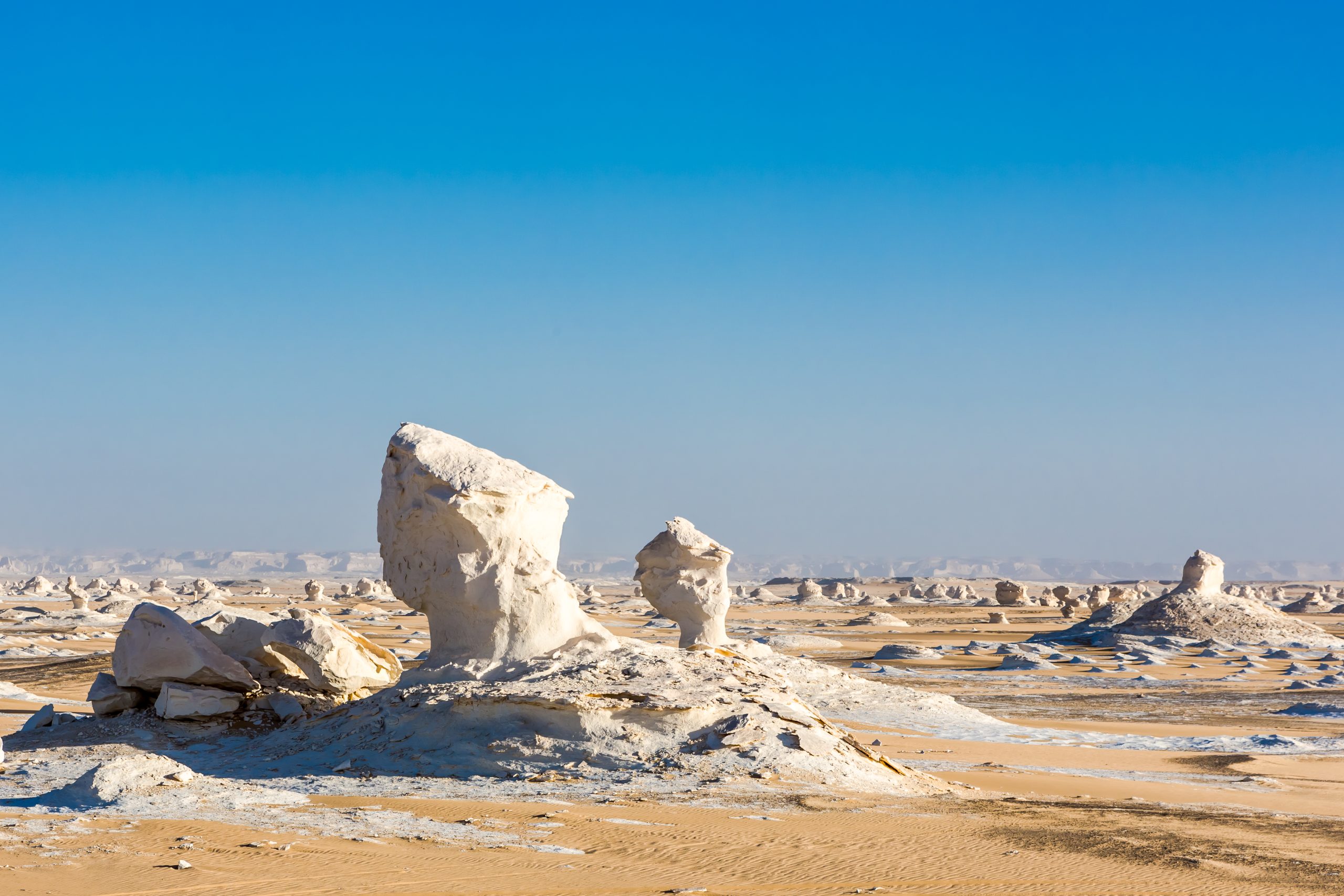 Black and White Desert