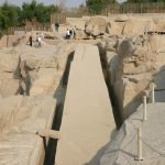 Gallery Thumbnail 12