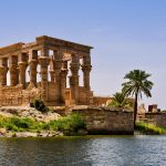 Gallery Thumbnail 11