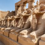 Gallery Thumbnail 28