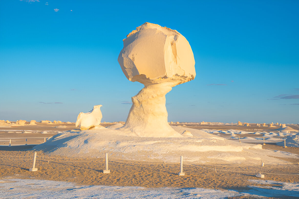 Black and White Desert