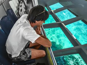 Glass Bottom Boat Trip in Sharm el Sheikh